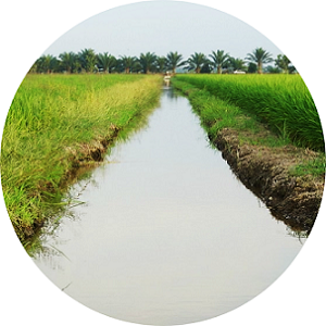 Sistema Distritos de Riego